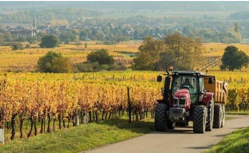 铁粉！瑞士球迷坐拖拉机赴俄观看世界杯 一路了解风土人情
