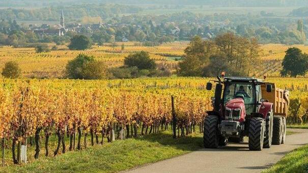 开挂了！球迷坐拖拉机赴俄看世界杯 预计路上需要耗费两周