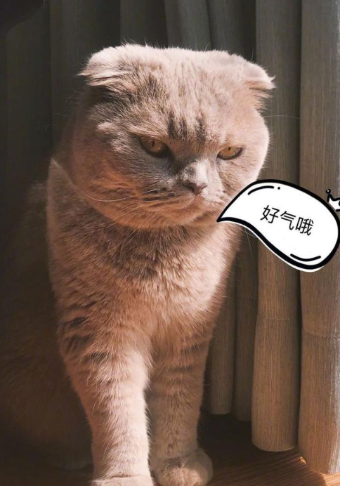 心疼一秒钟！王鸥网购买到假货用了大半年才发觉 网友们不厚道的笑了