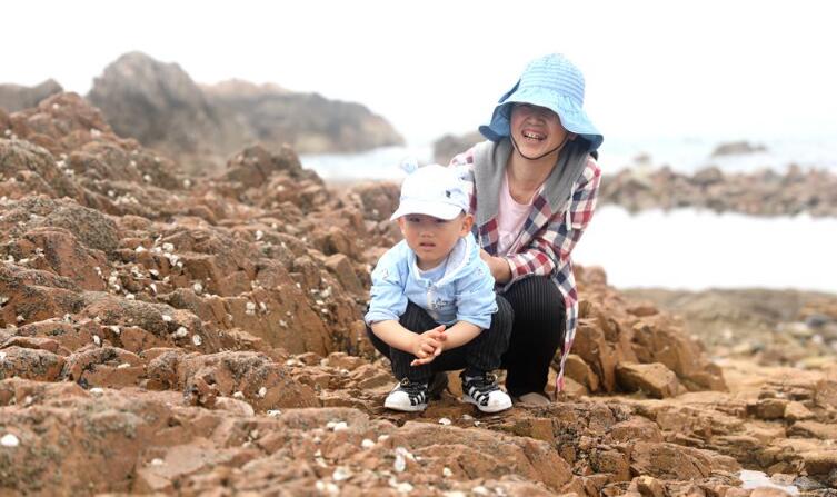 高清:生态小麦岛华丽变身 步栈道环绕全岛360度看海