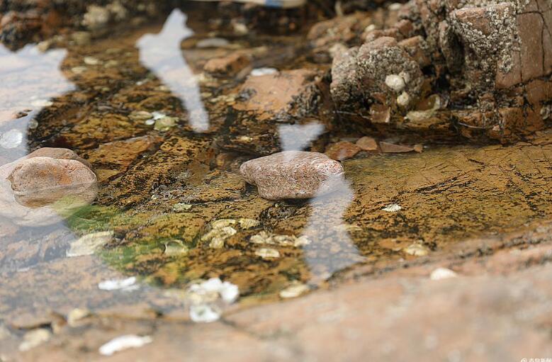 高清:生态小麦岛华丽变身 步栈道环绕全岛360度看海