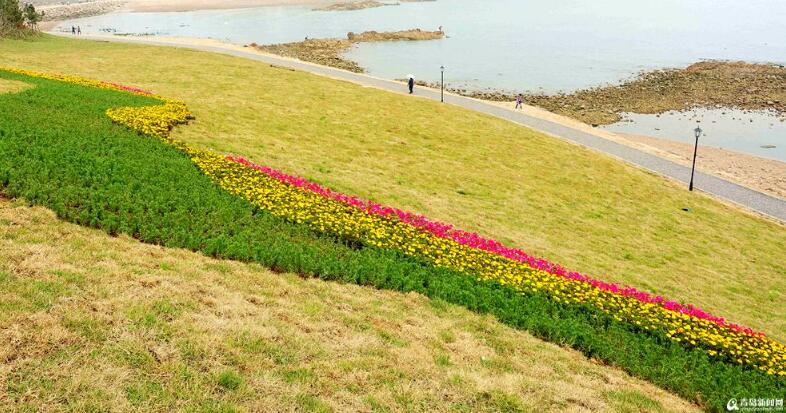 高清:生态小麦岛华丽变身 步栈道环绕全岛360度看海