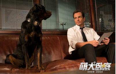 人狗搭配干活不累！萌犬卧底确认引进 这个夏天被萌一脸血