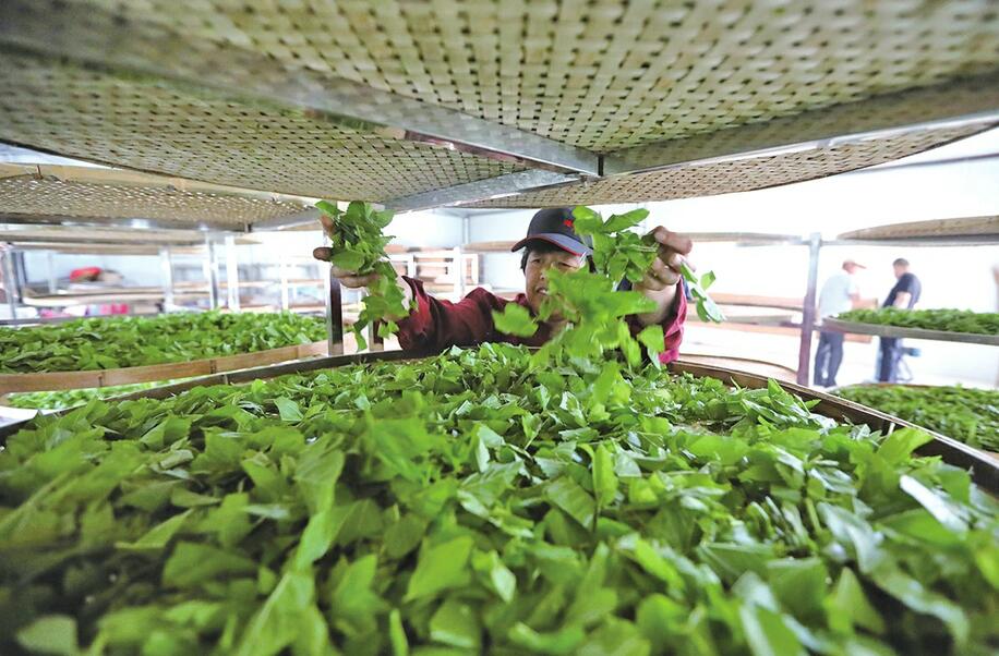 黄河故道非遗风貌