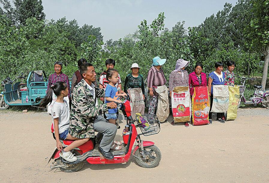 黄河故道非遗风貌