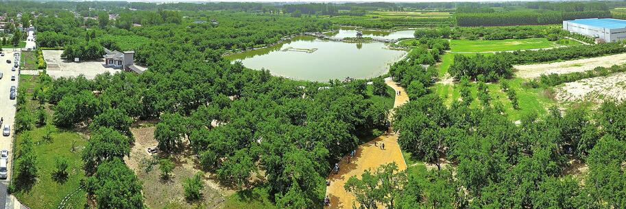 黄河故道非遗风貌