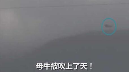ĸţ汻죡˹Ϯ 籩