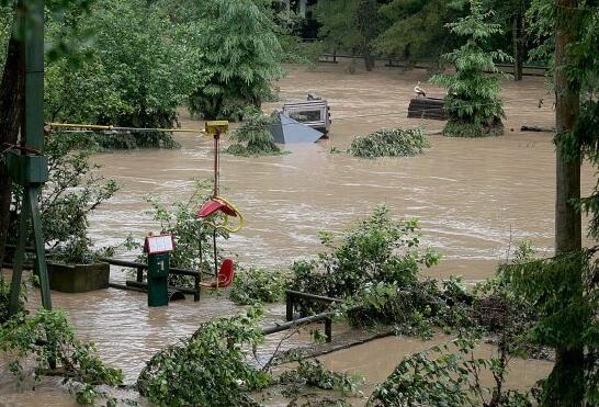 德动物园遭遇洪水 2头狮子、2只老虎及1只美洲虎趁势逃出笼舍