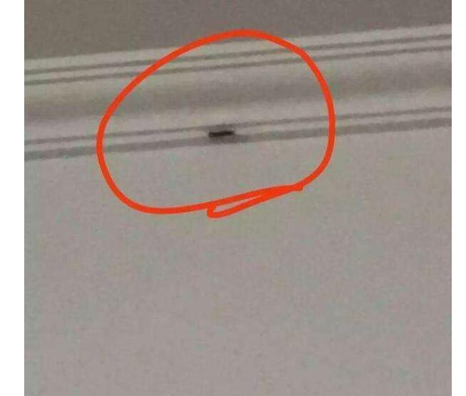 笑翻了！会打虫子的外卖哥 新时代外卖小哥的