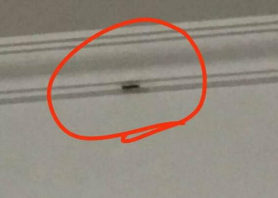 喜感十足!会打虫子的外卖哥火了 小姐姐