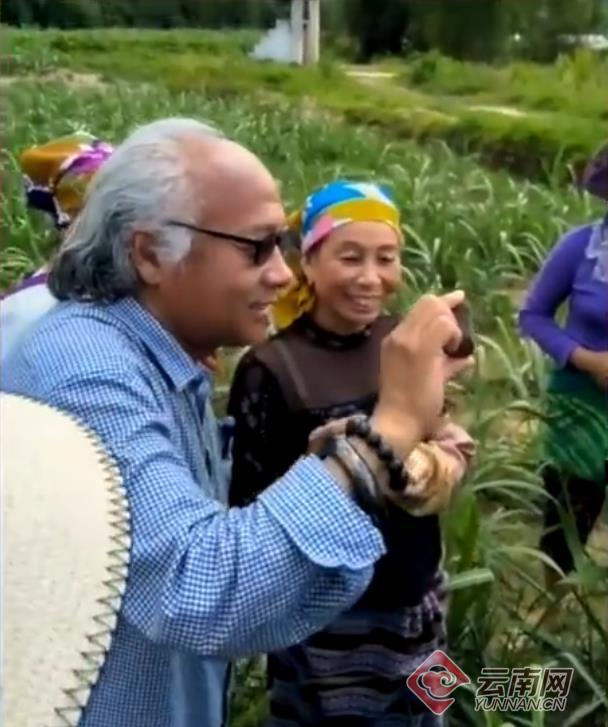 妄想一夜暴富！云南勐海县坠落陨石叫价万元一颗 村民组队寻宝