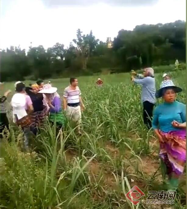 妄想一夜暴富！云南勐海县坠落陨石叫价万元一颗 村民组队寻宝