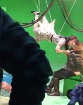 放开小岳岳！佟丽娅亲吻岳云鹏 佟丽娅吊威亚从天而降抓起岳云鹏亲吻