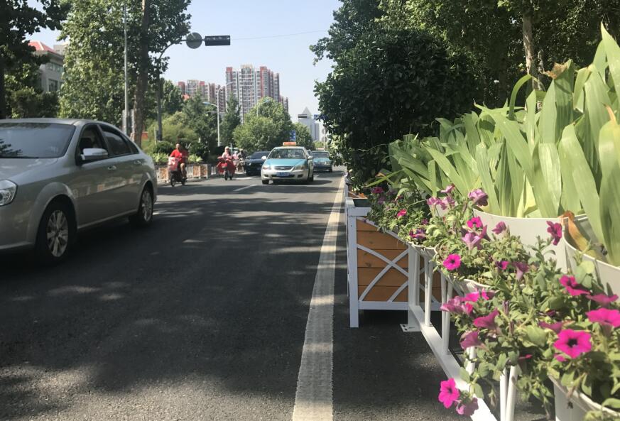 马鞍山路变身“花海”