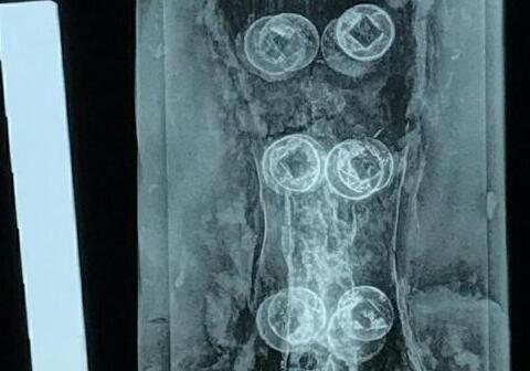 韩出土中国五铢钱王陵中存放3把铜戈 或为2000年前三韩时代的最高首领