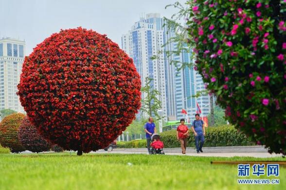 青岛欢迎你，上合