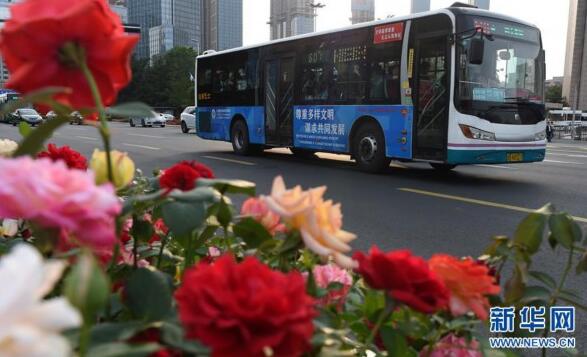 青岛欢迎你，上合
