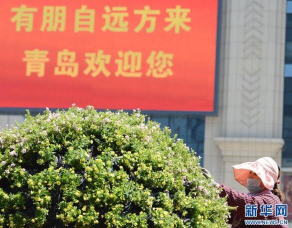 青岛欢迎你，上合