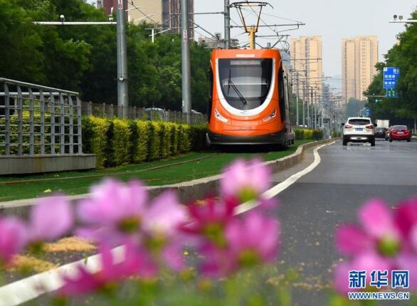 青岛欢迎你，上合