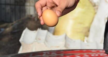 脑洞大开！汽车引擎盖能烤鱼 高温炙烤汽车引擎盖成铁板烧