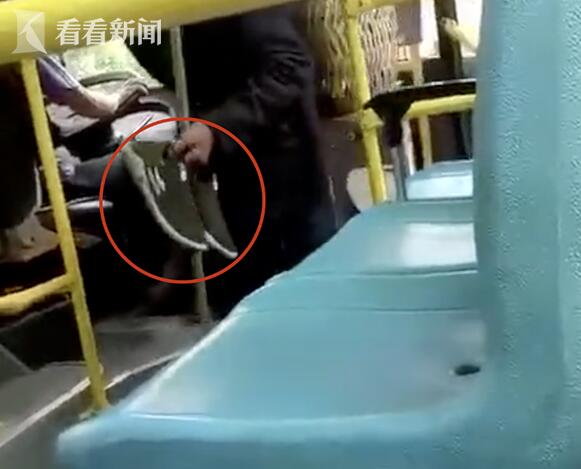 炸开了锅!老人脱鞋乘车 处理结果:涉事驾驶员已被责令解聘
