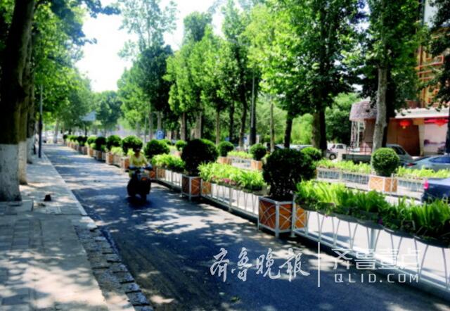 济南马鞍山路提前恢复通车 城市盼更多“林荫大道”
