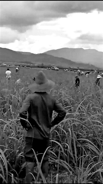 云南陨石遭“爆炒” 数日间价格被炒高几十倍