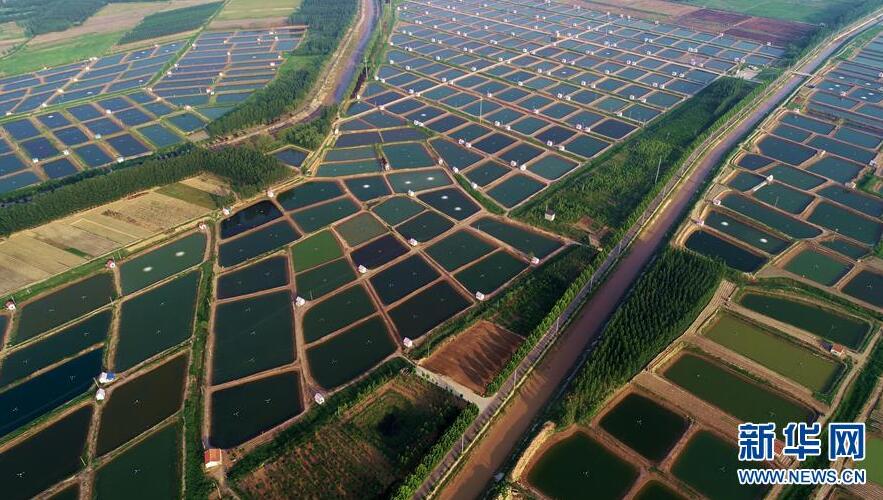 山东滨州：保护生态环境 建设美丽乡村