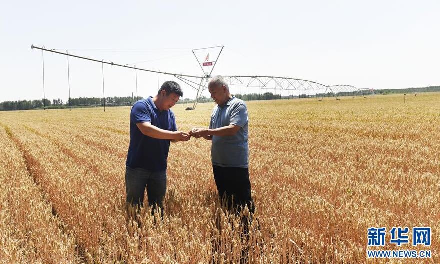 山东滨州：保护生态环境 建设美丽乡村