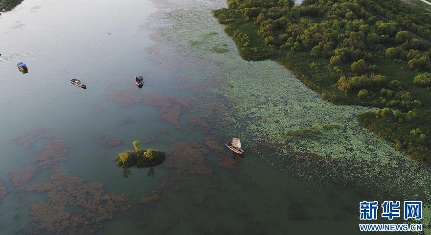 山东滨州：保护生态环境 建设美丽乡村