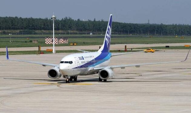 真相竟是这?全日空客机急刹车 致4人为扭挫伤1人腰椎骨折