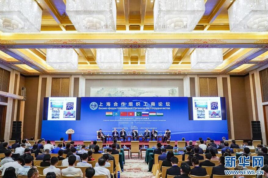 远航，扬起“上海精神”的时代风帆——写在上海合作组织成员国元首理事会第十八次会议即将召开之际