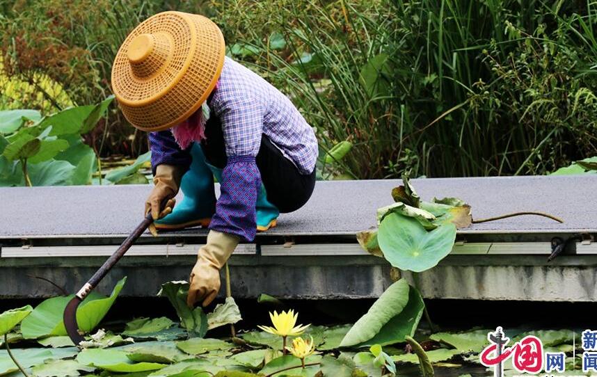 【新时代·幸福美丽新边疆】惊艳！凤翔湿地公园的华丽转身