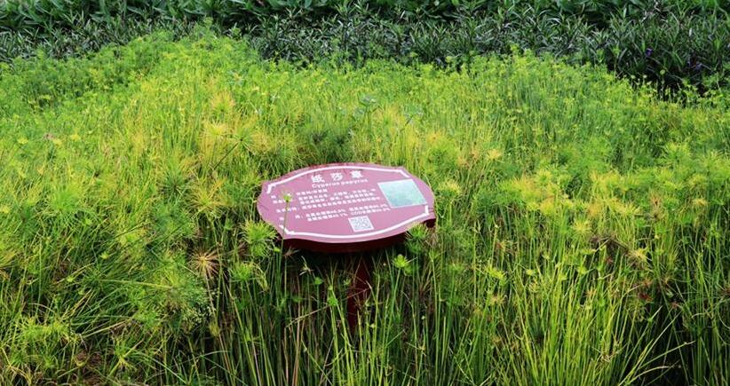 【新时代·幸福美丽新边疆】惊艳！凤翔湿地公园的华丽转身