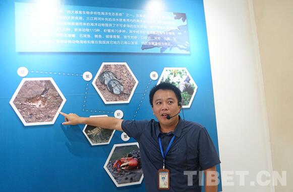 【新时代•幸福美丽新边疆】海南岛东寨港国家自然保护区：东亚候鸟迁徙途经的“驿站”