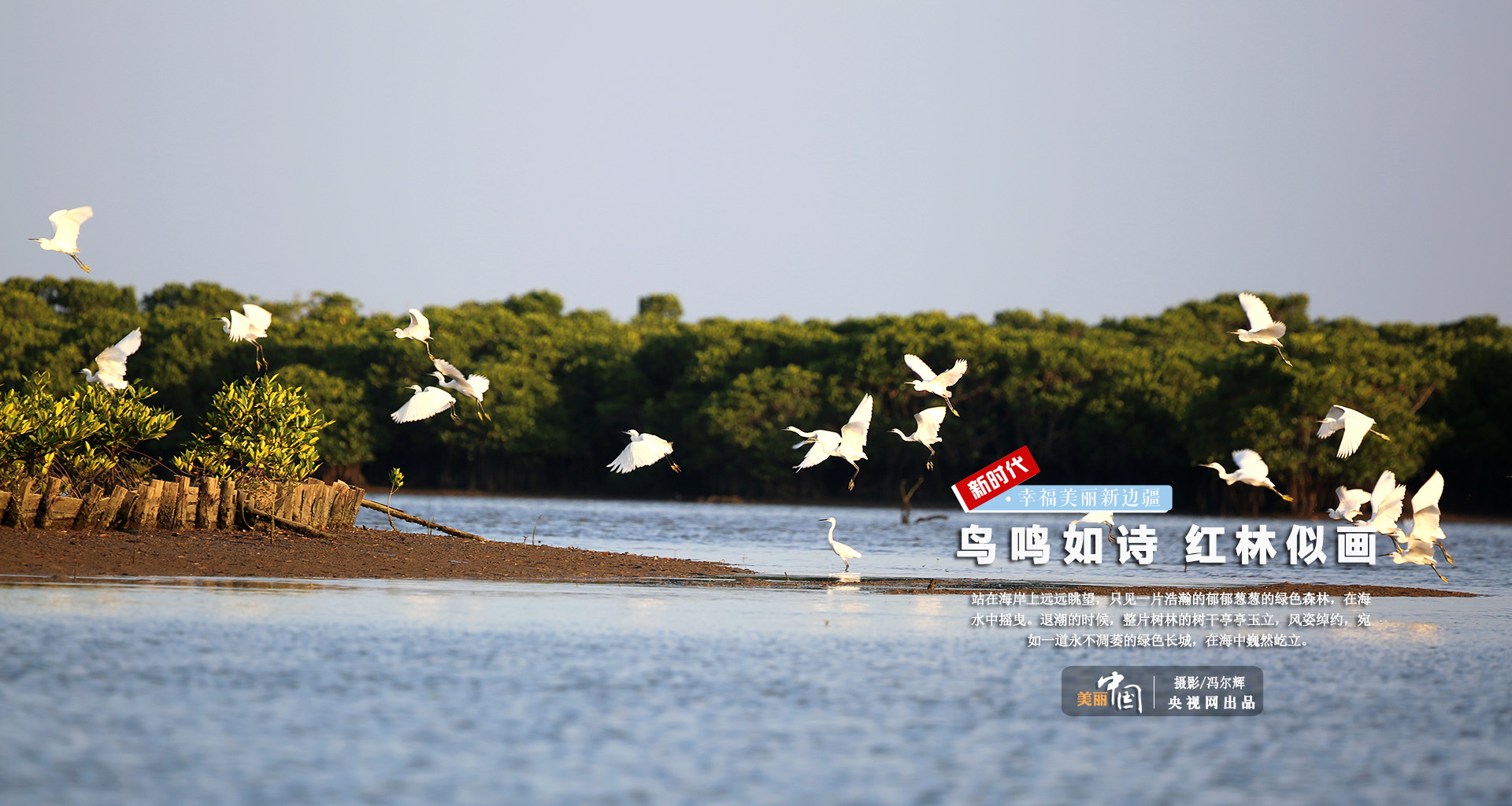 【新时代·幸福美丽新边疆】鸟鸣如诗 红林似画 