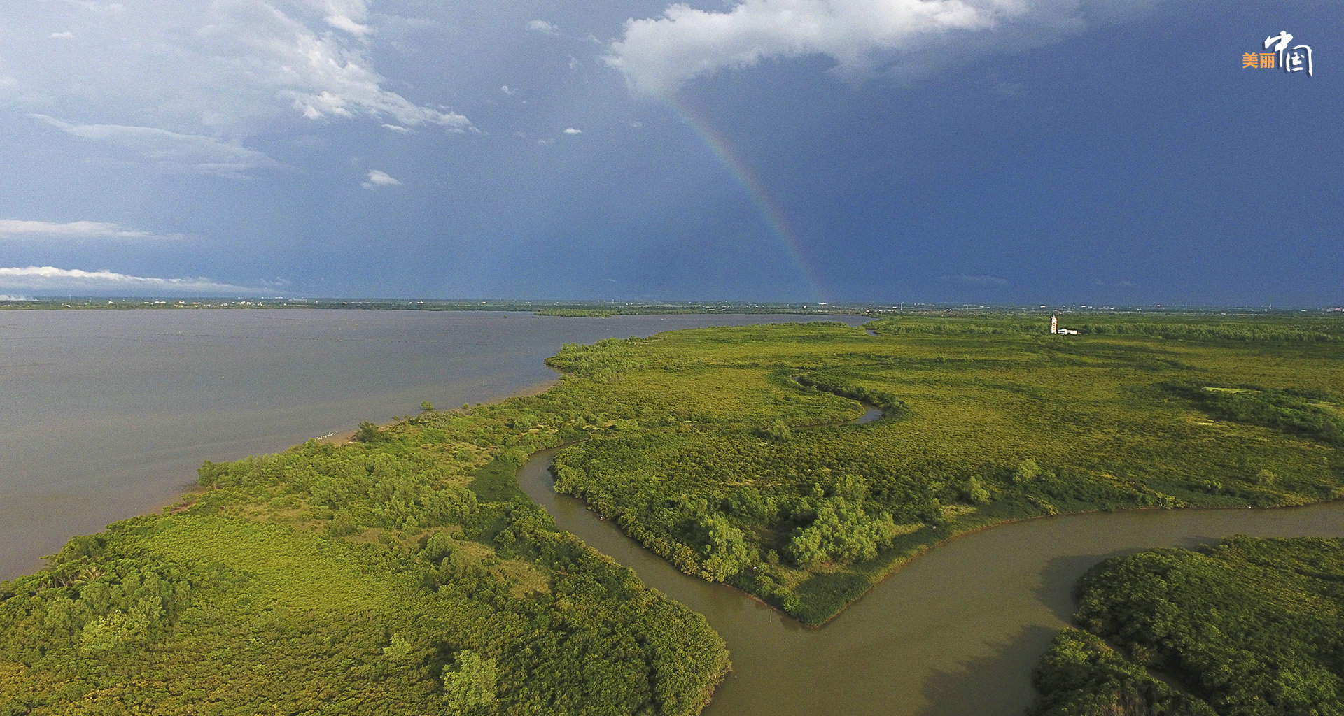 【新时代·幸福美丽新边疆】鸟鸣如诗 红林似画 
