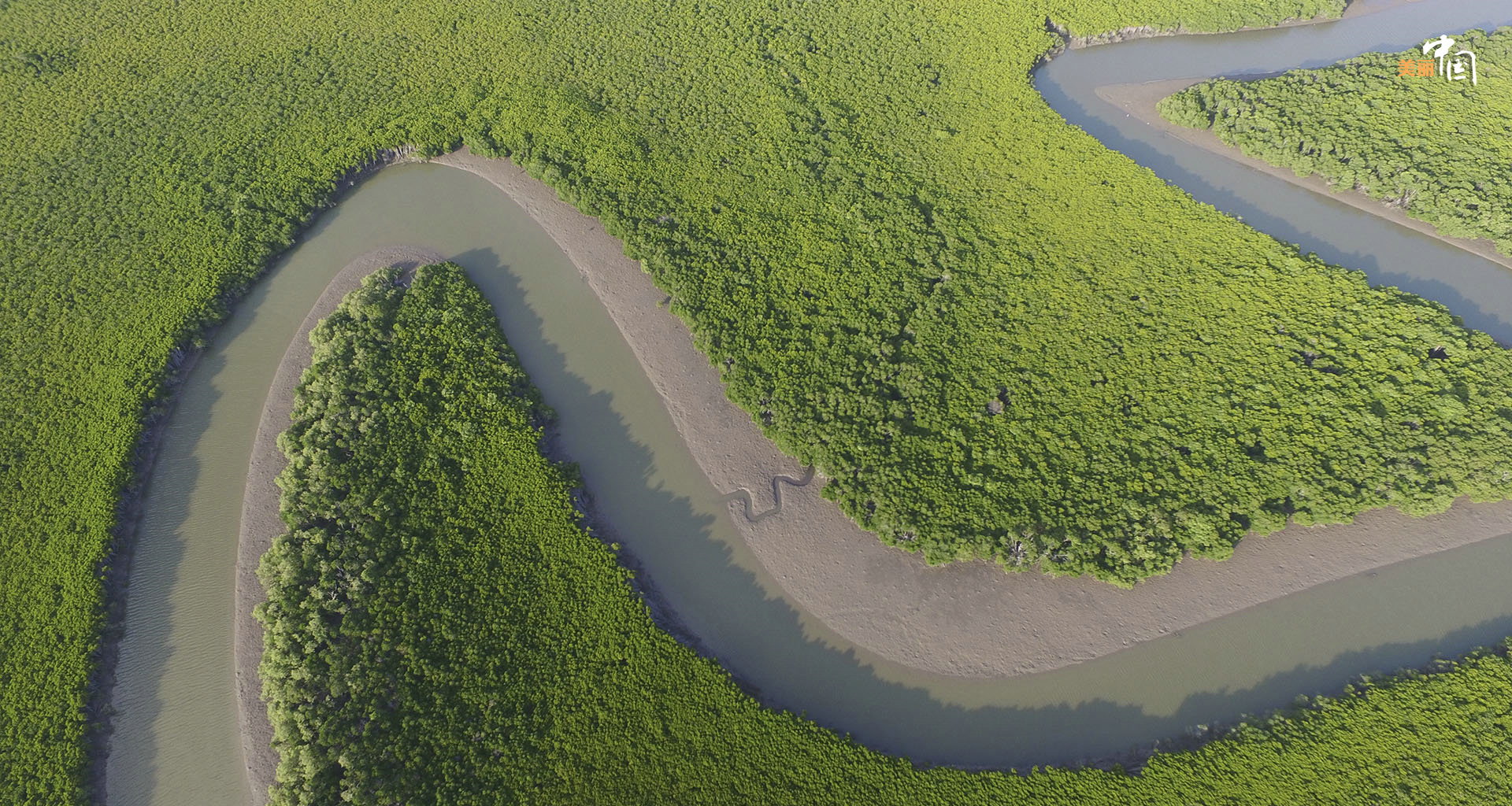 【新时代·幸福美丽新边疆】鸟鸣如诗 红林似画 