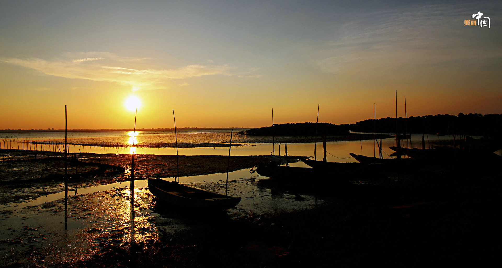 【新时代·幸福美丽新边疆】鸟鸣如诗 红林似画 