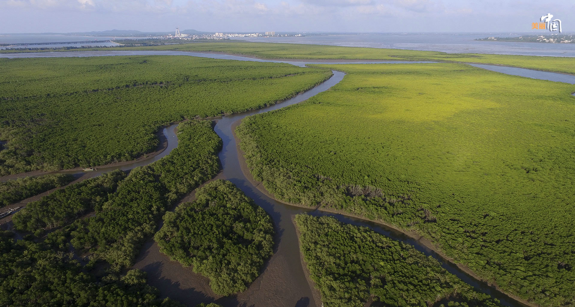 【新时代·幸福美丽新边疆】鸟鸣如诗 红林似画 