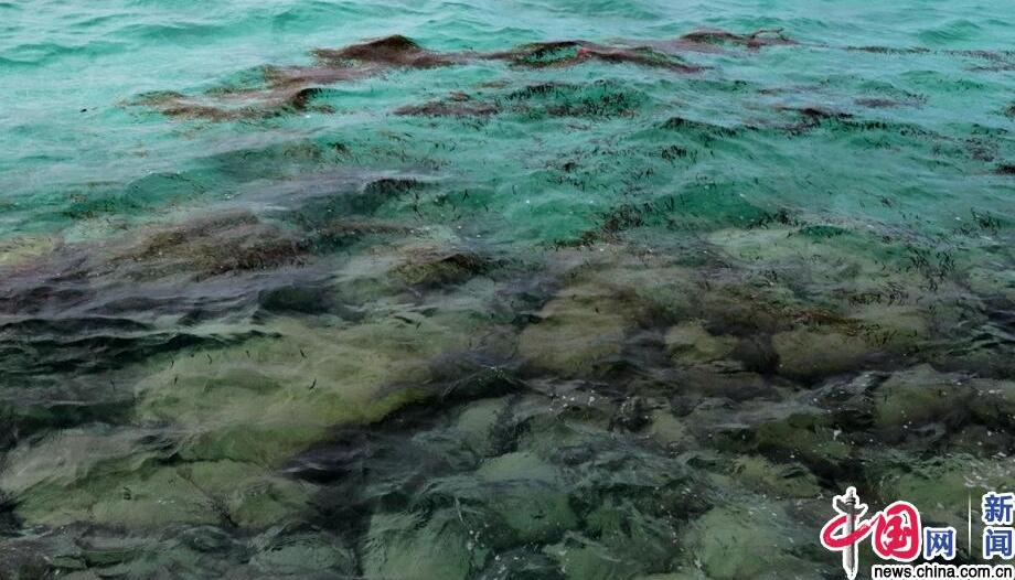 【新时代·幸福美丽新边疆】我在三沙做“岛长”：守护海岛就是守护家园