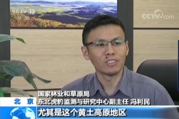 我国发现迄今最大华北豹种群 黄土高原脆弱生态开始恢复