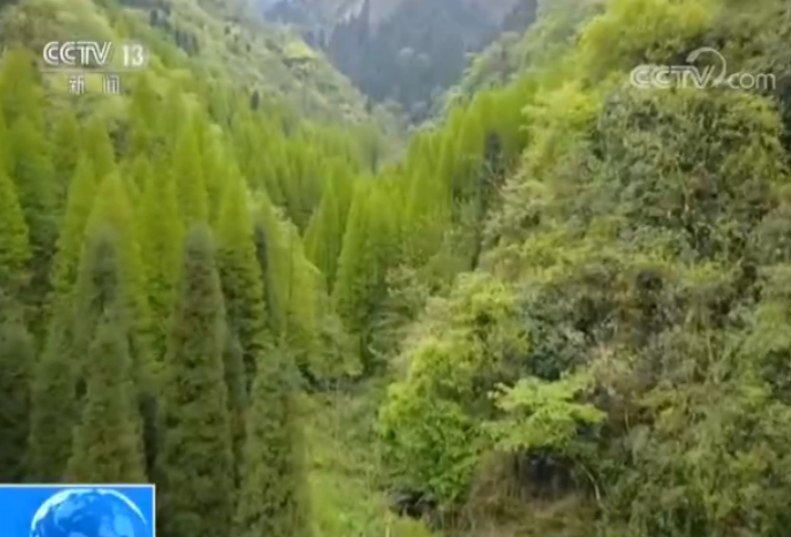 我国发现迄今最大华北豹种群 黄土高原脆弱生态开始恢复