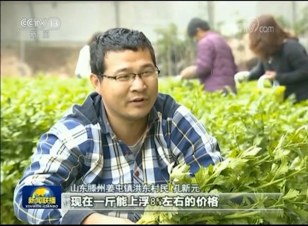 央视新闻联播点赞山东:打造乡村振兴的“齐鲁样板”