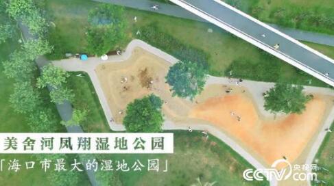 一分钟惊艳航拍！俯瞰海口最大湿地公园