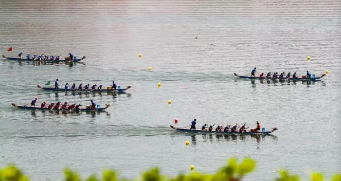 在端午品味文化的芳香 