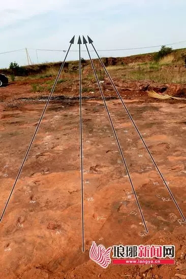 世界首例！侏罗纪猜想证实！关于恐龙，在临沂有重大发现