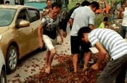 广西荔枝滞销 灵山多地的荔枝价格大跌收购价仅8毛钱左右