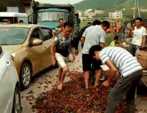 丰产不丰收？广西荔枝滞销 果农：今年荔枝贱过泥 五毛一斤无人要