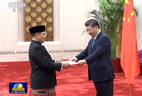 习近平接受十三国新任驻华大使递交国书